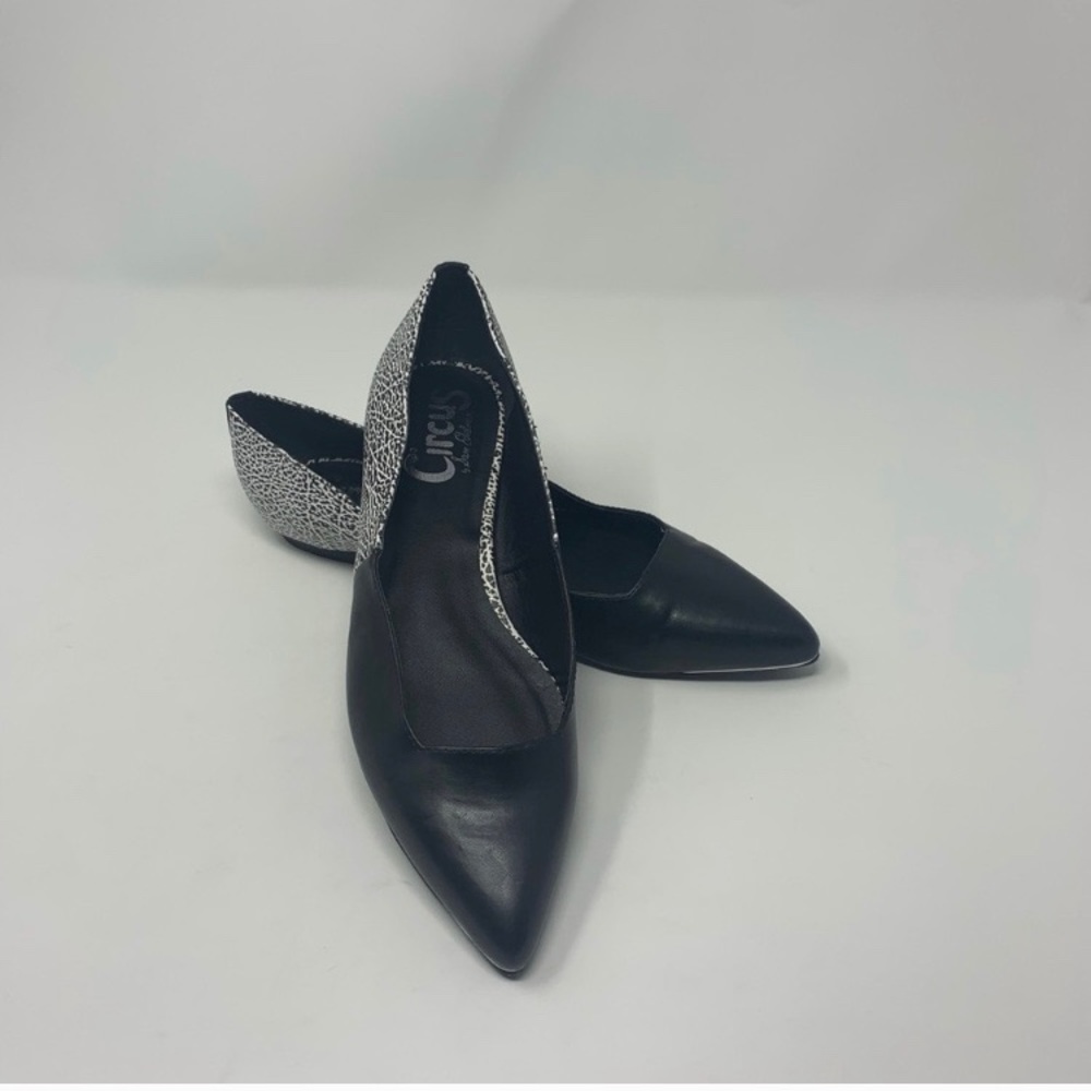 Circus by Sam Edelman Ellissa Pointed Ballet Flats